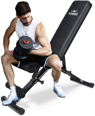 FLYBIRD Best Folding Weight Benches