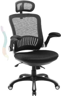 LORDWEY Big and Tall Office Chairs